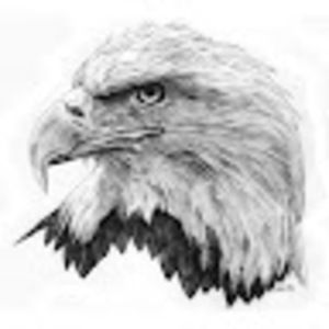 Meet your Posher, Fernando